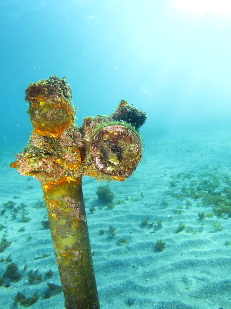 フルフェイスマスクSP講習　PADI　城ヶ島ダイビング