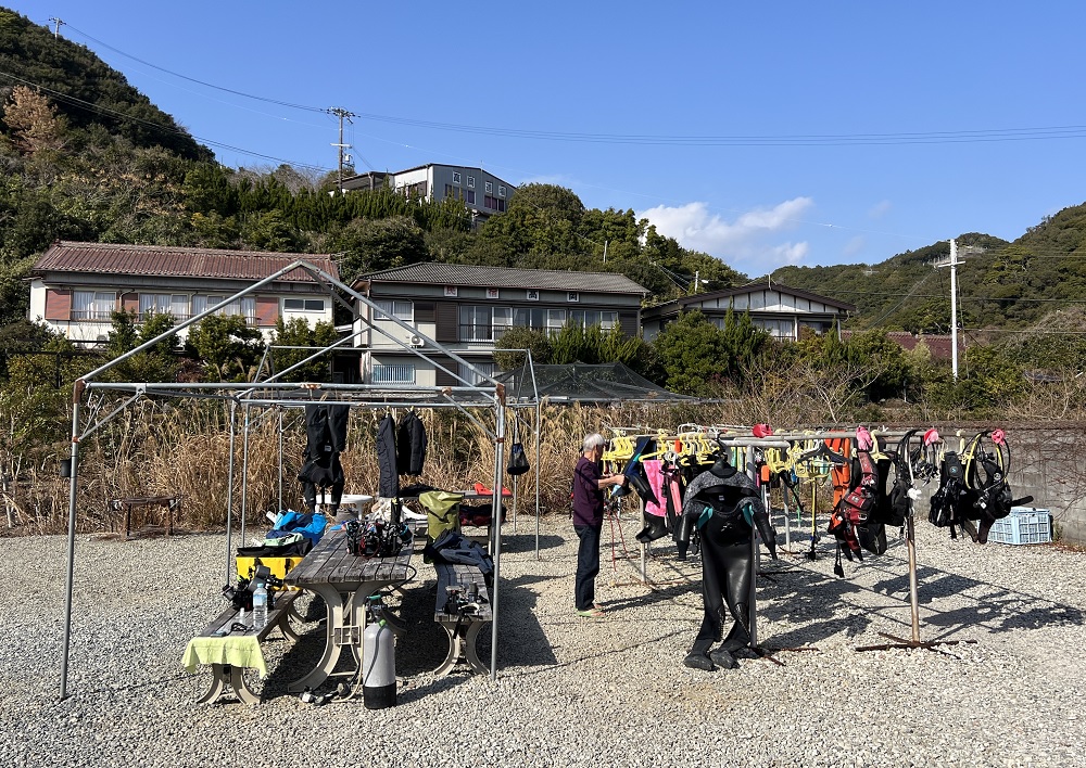 串本　ダイビング　南紀　赤鯱　ウミウシ