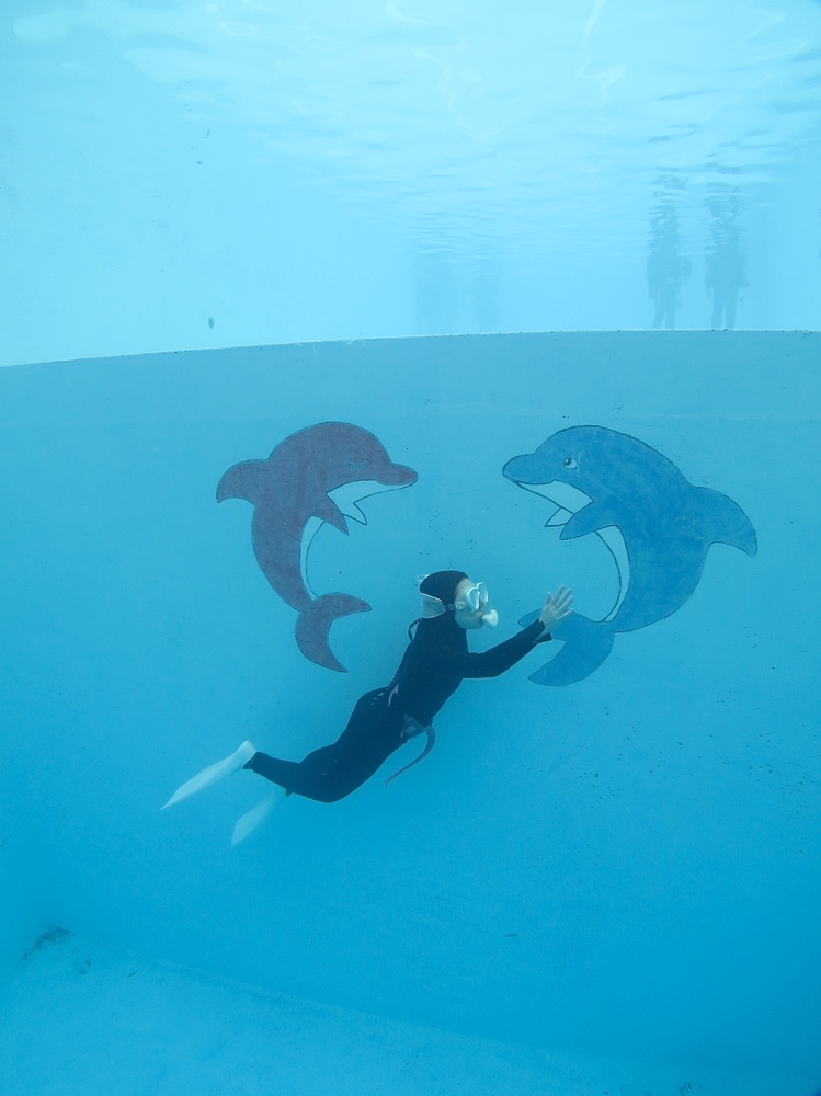 スキンダイビング講習　屋内プール　日帰り　ライセンス取得