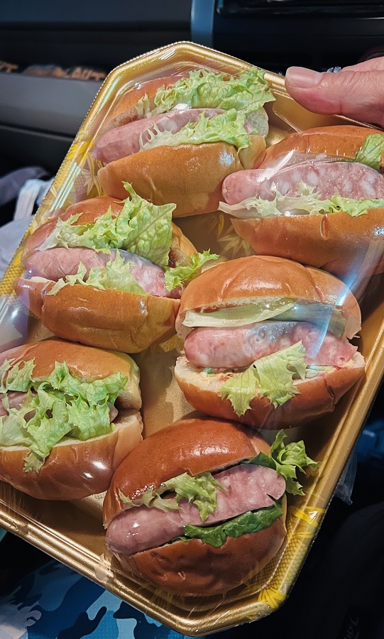 串本　ダイビング　南紀　赤鯱　ウミウシ