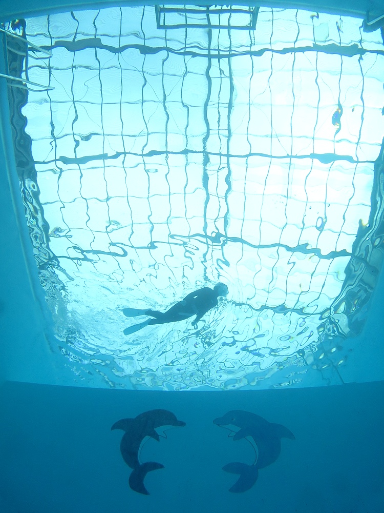 スキンダイビング講習　屋内プール　日帰り　ライセンス取得