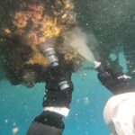 船底掃除　神奈川　マリーナ　クルーズ　フジツボ除去