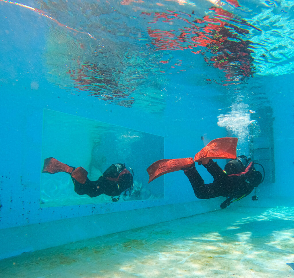 ダイビングショップ　フィンキックトレーニング　伊豆　神奈川