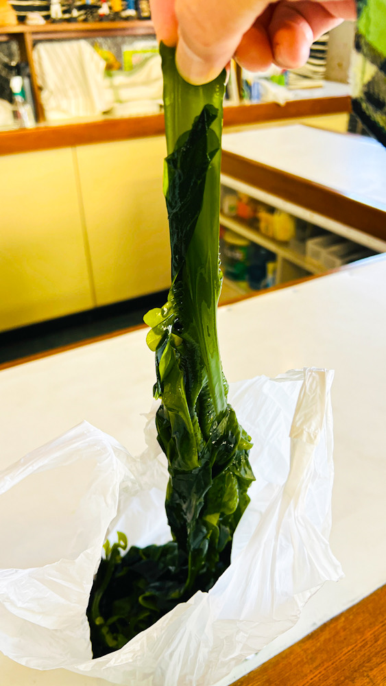 小坪　ワカメ　漁港　逗子