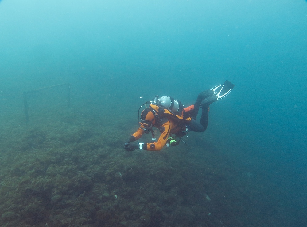 水中フロート上げ DSMB ボートダイビング