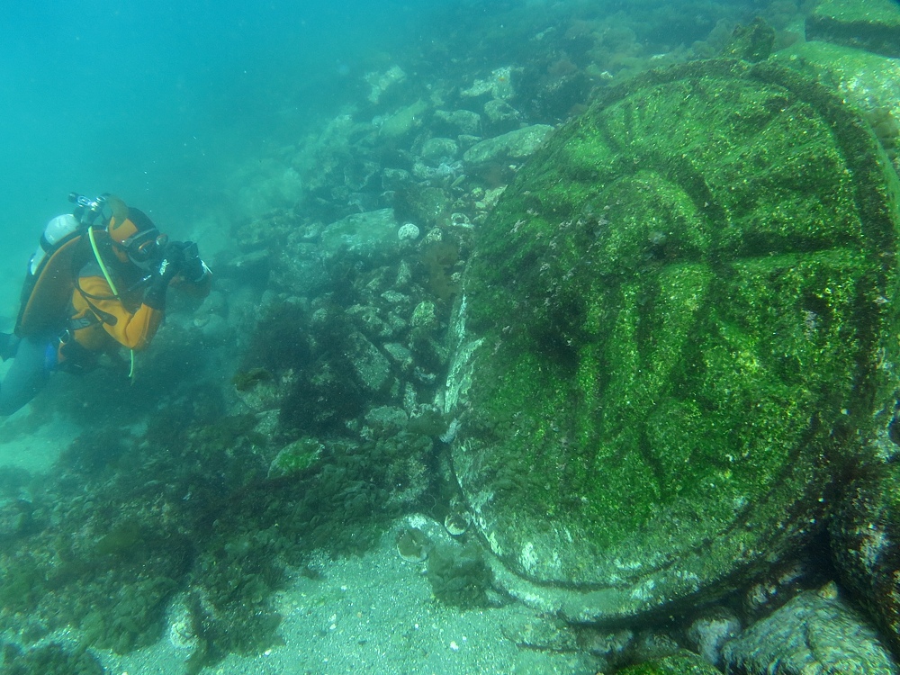 水中フロート上げ DSMB ボートダイビング