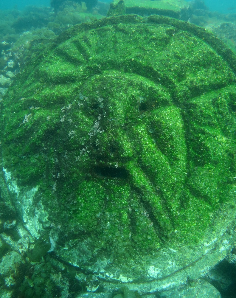 水中フロート上げ DSMB ボートダイビング