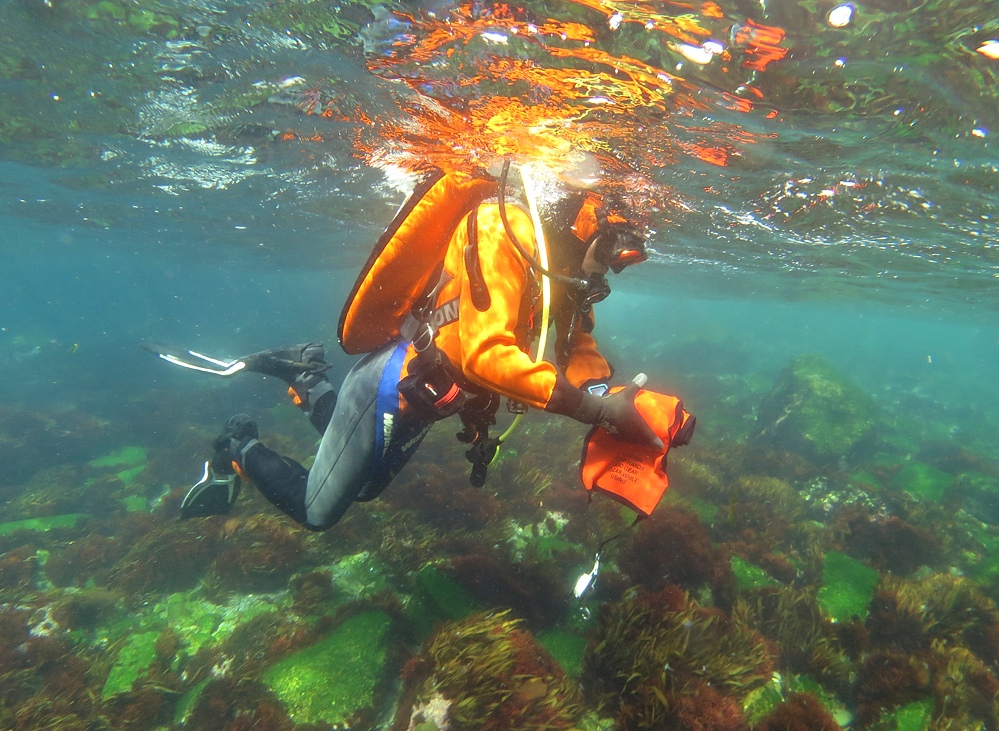 水中フロート上げ DSMB ボートダイビング