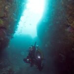 東伊豆　ダイビング　菖蒲沢　魚の群れ　水中洞窟