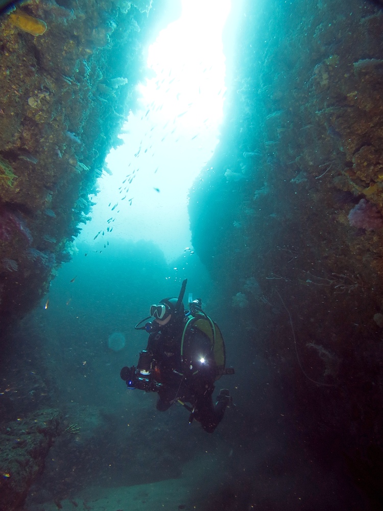東伊豆　ダイビング　菖蒲沢　魚の群れ　水中洞窟