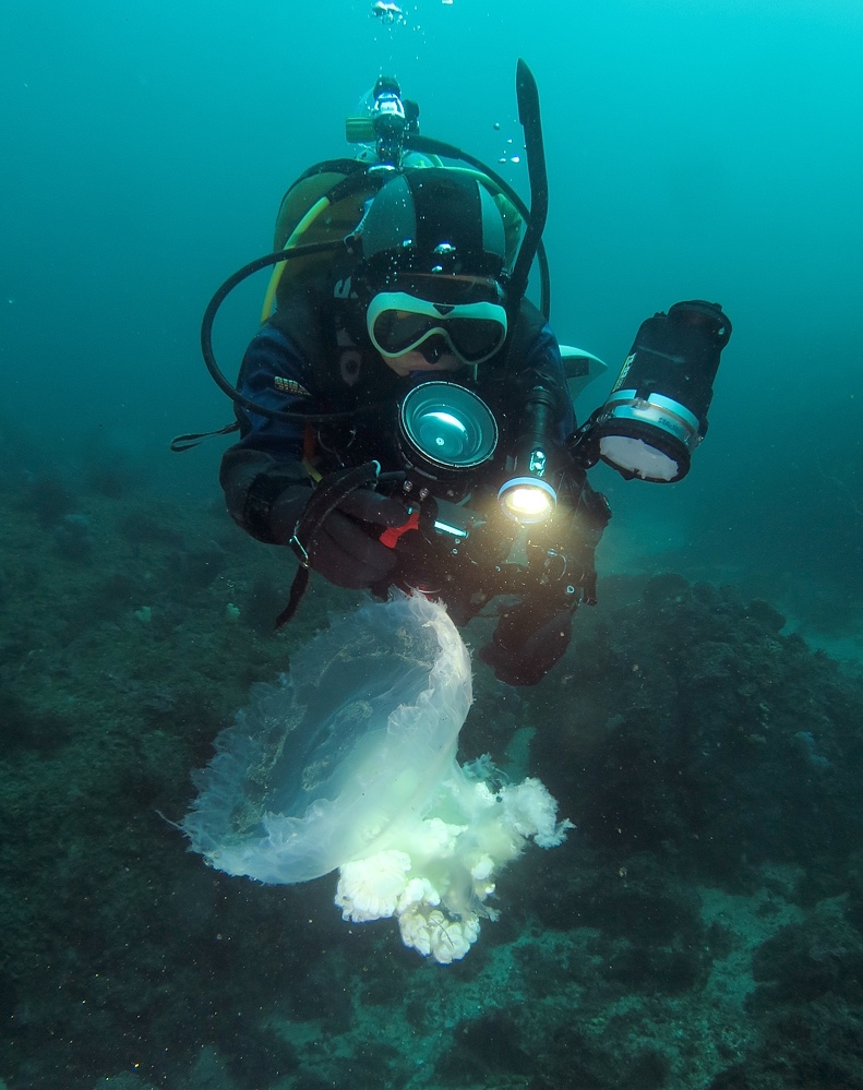 東伊豆　ダイビング　菖蒲沢　魚の群れ　水中洞窟
