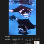 2026年みなとみらい　海の写真展「FROM THE SEA」