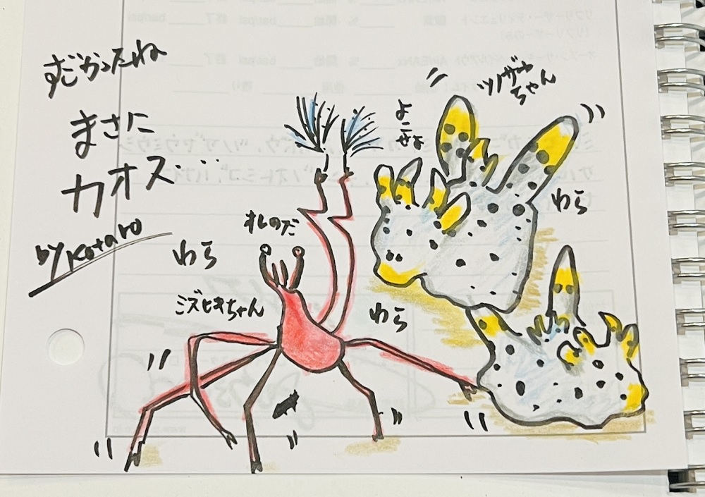 大瀬崎　ダイビング　ツノザヤ　ハナイカ　テングノオトシゴ