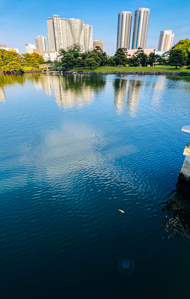 浜離宮恩賜庭園 撮影　新橋 徳川