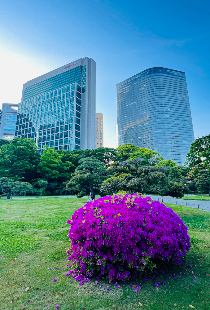 浜離宮恩賜庭園 撮影　新橋 徳川