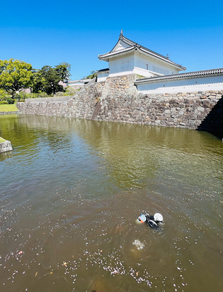 小田原城　お堀清掃　神奈川　ダイビングインストラクター　NDOSA