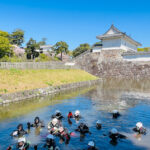 小田原城　お堀清掃　神奈川　ダイビングインストラクター　NDOSA