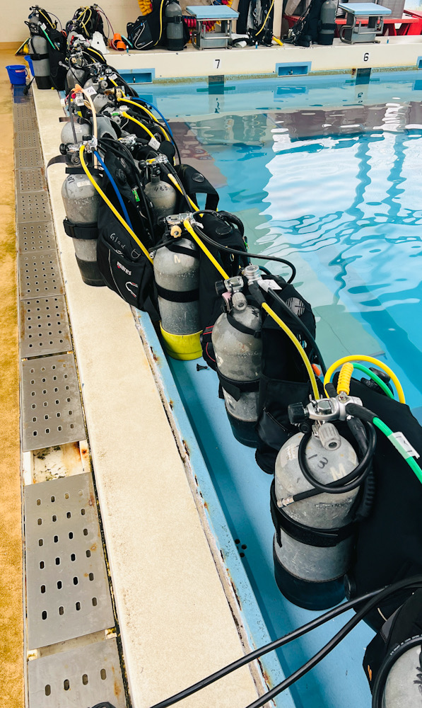 プール　体験ダイビング