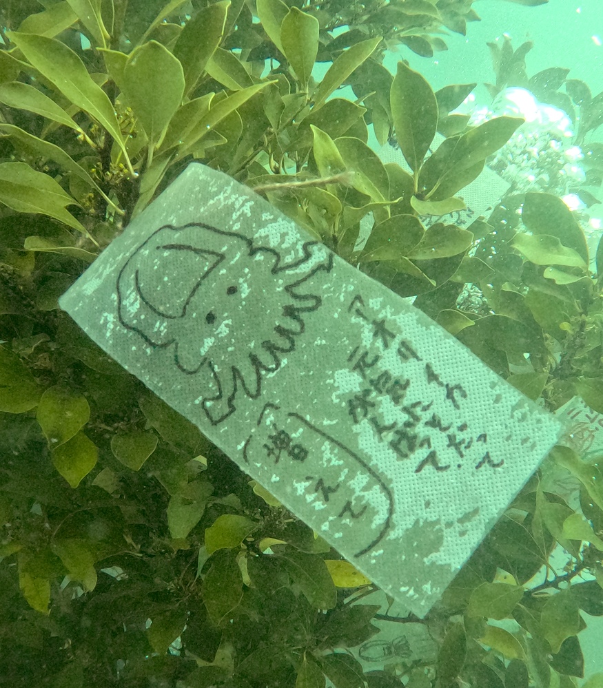 逗子　アオリイカ産卵床設置