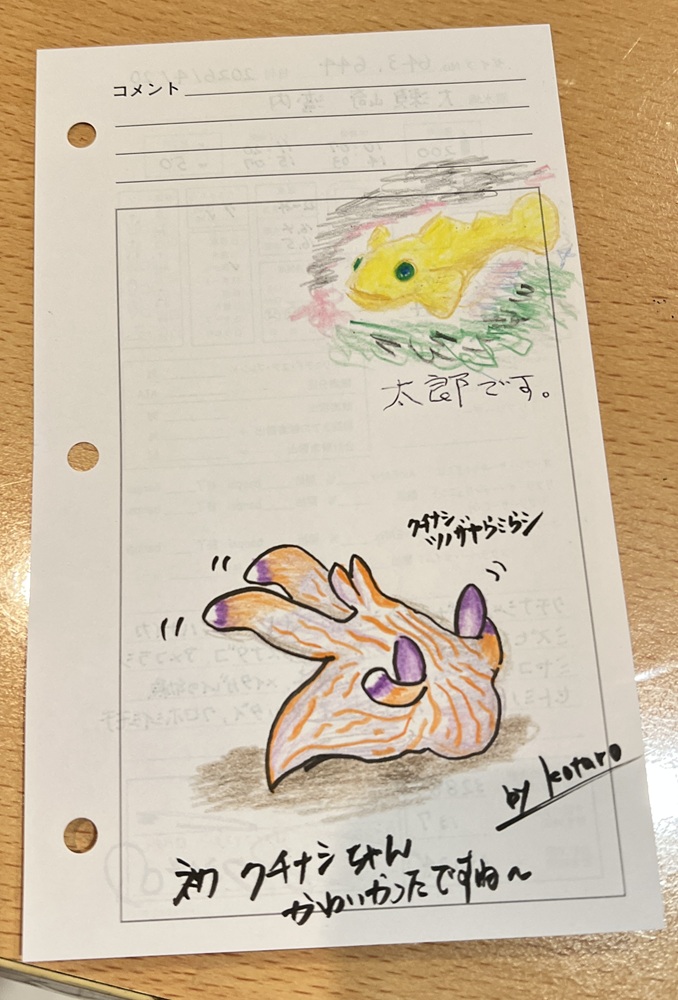 大瀬崎　ウミウシ　ダイビング　ツアー