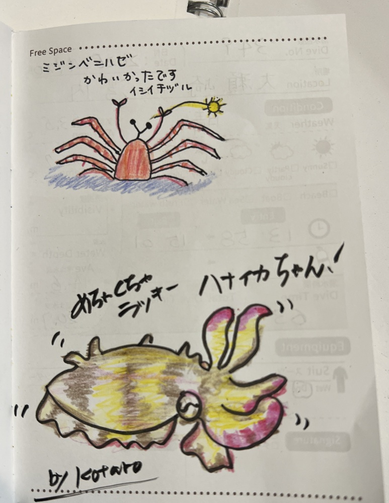 大瀬崎　ウミウシ　ダイビング　ツアー