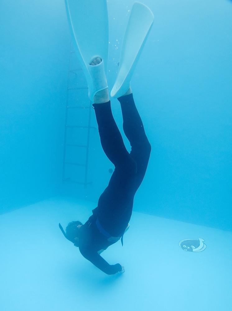 スキンダイビング プール 神奈川 講習 ライセンス ジャックナイフ