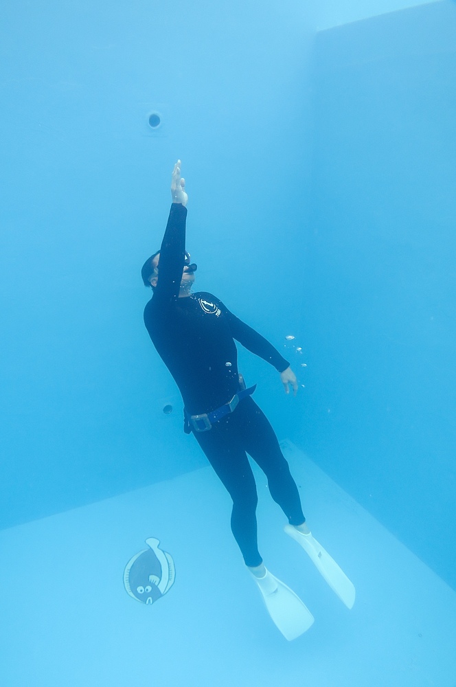 スキンダイビング プール 神奈川 講習 ライセンス ジャックナイフ