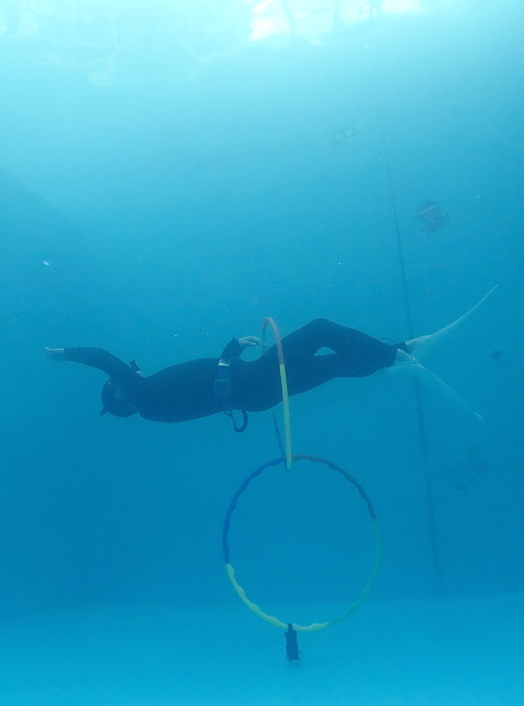 スキンダイビング プール 神奈川 講習 ライセンス ジャックナイフ