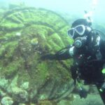 西伊豆　獅子浜　ダイビング　沼津　ドライスーツ講習