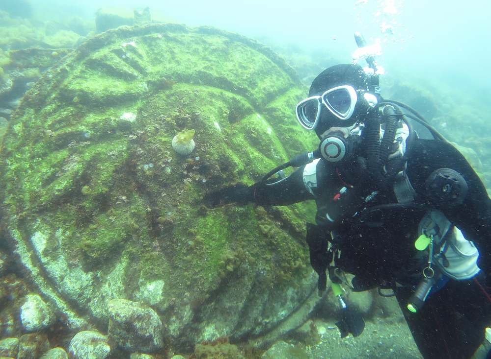 西伊豆　獅子浜　ダイビング　沼津　ドライスーツ講習