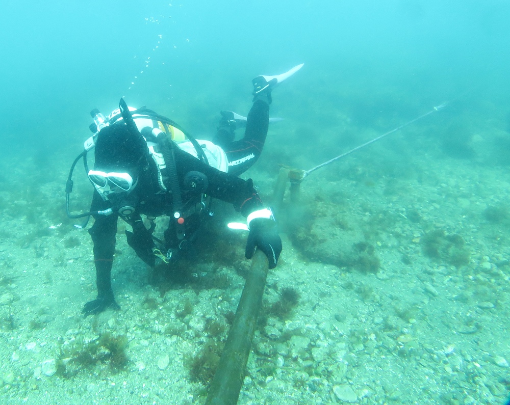 西伊豆　獅子浜　ダイビング　沼津　ドライスーツ講習