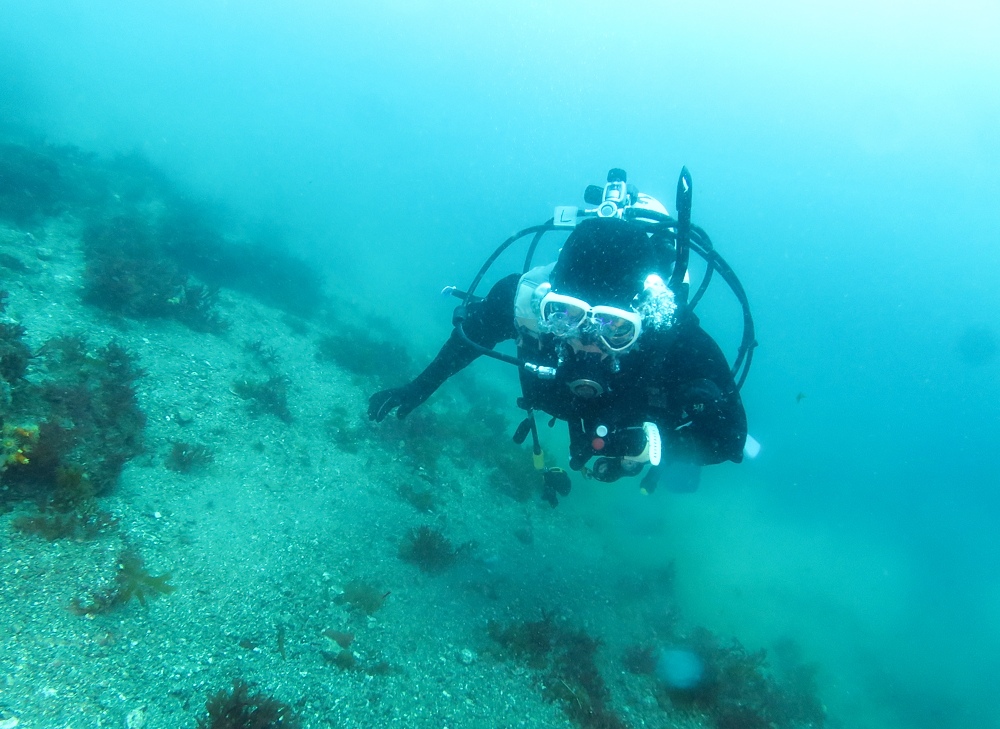 西伊豆　獅子浜　ダイビング　沼津　ドライスーツ講習