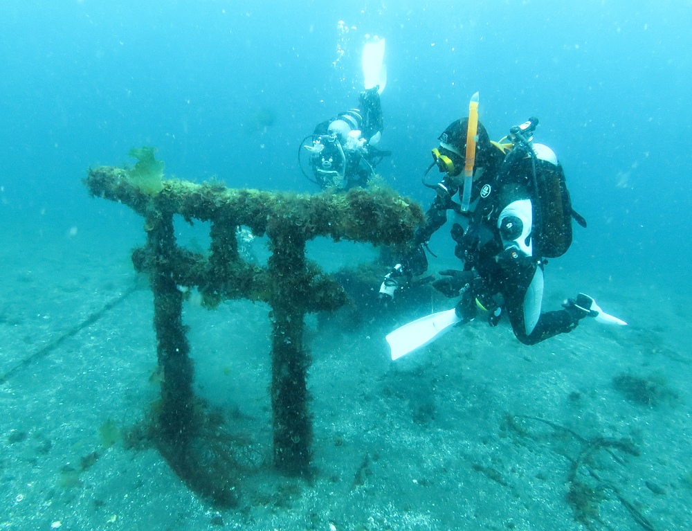 大瀬崎 ダイビング ツアー ウミウシ 水中写真撮影