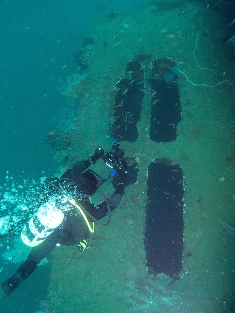 熱海　沈船　ソフトコーラル　レックダイビング