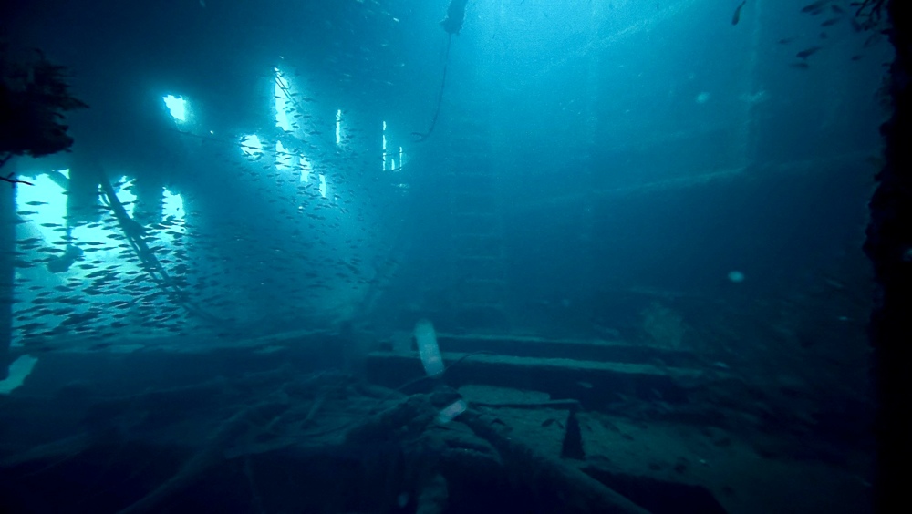 熱海　沈船　ソフトコーラル　レックダイビング