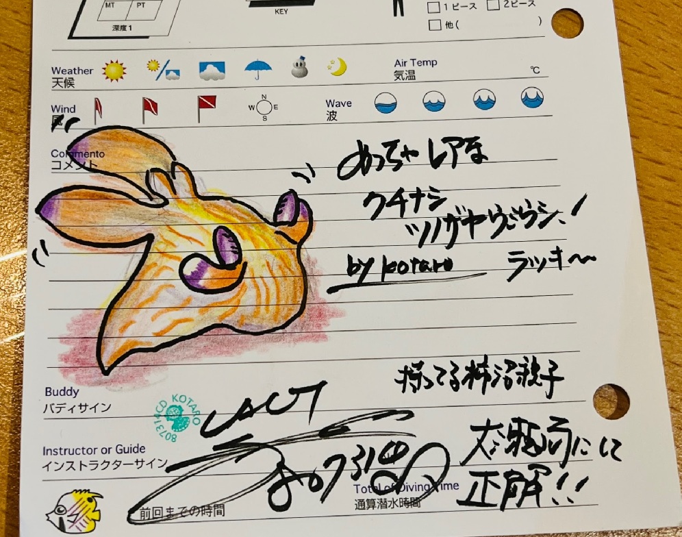 大瀬崎 ダイビング ツアー ウミウシ 水中写真撮影