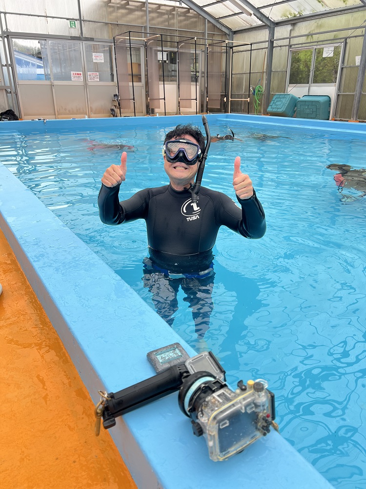 スキンダイビング プール 神奈川 講習 ライセンス ジャックナイフ