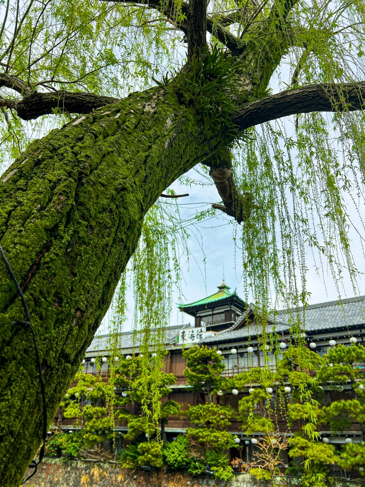伊東 観光 散歩 東郷平八郎 東海館