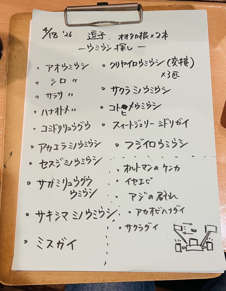 ログ付け　お絵描き　色鉛筆