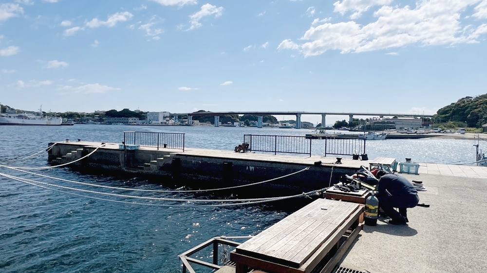 城ヶ島　ダイビング　神奈川　水中スクーター　ウミウシ