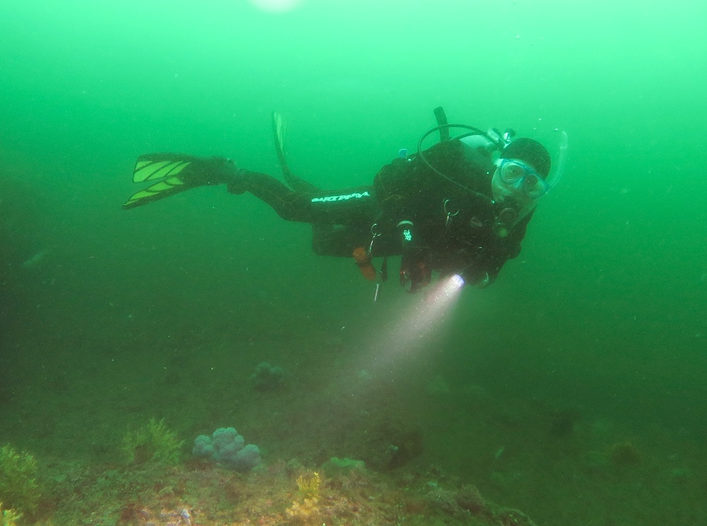 城ヶ島　ダイビング　神奈川　水中スクーター　ウミウシ