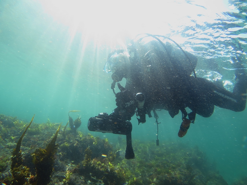 城ヶ島　ダイビング　神奈川　水中スクーター　ウミウシ
