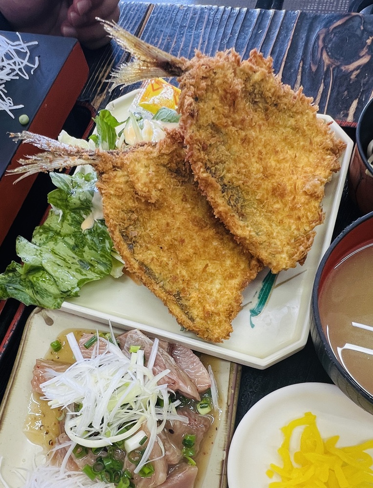 逗子　鎌倉沖　ダイビングポイント　ゆうき食堂
