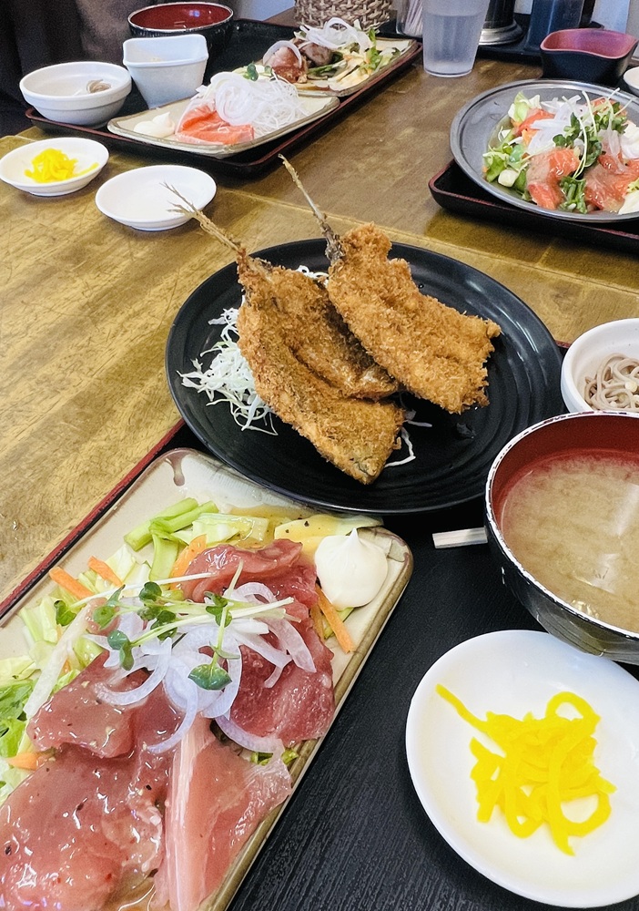 逗子ダイビング　鎌倉沖　ゆうき食堂
