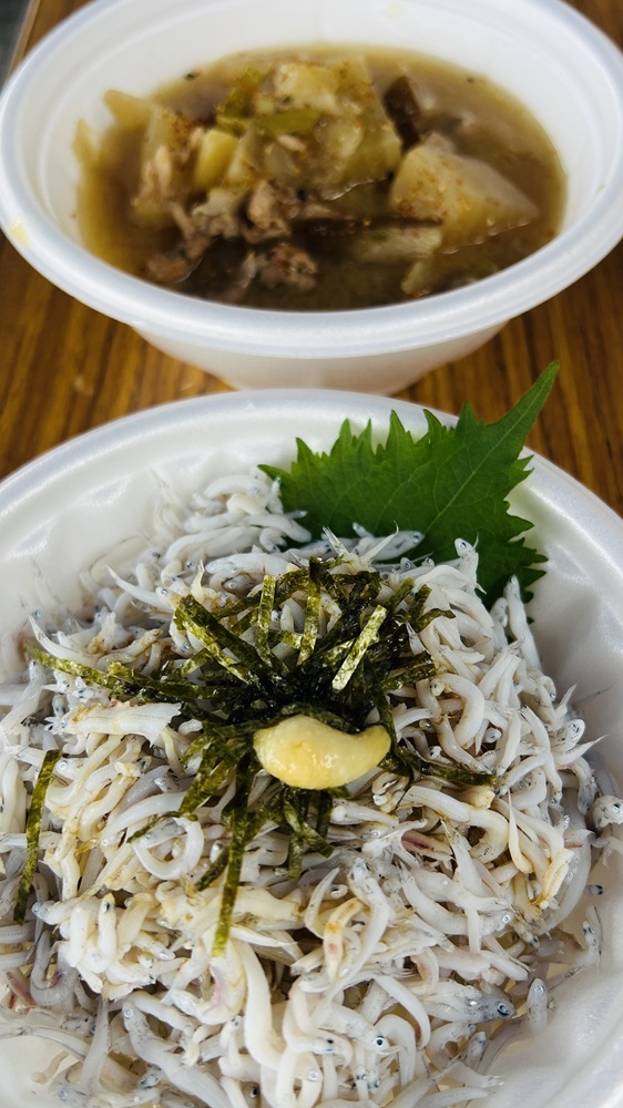 江之浦 ダイビング しらす丼 ウミウシ 水中ドラえもん