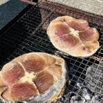 岩　真鶴　ダイビング　海鮮バーベキュー　ソフトコーラル
