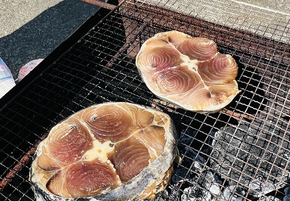 岩 真鶴 ダイビング 海鮮バーベキュー ソフトコーラル