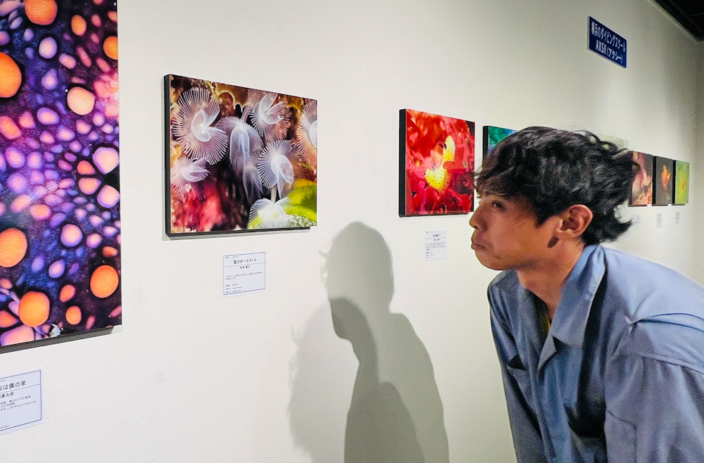 みなとみらい　クィーンズスクエア　水中写真展　ダイビング