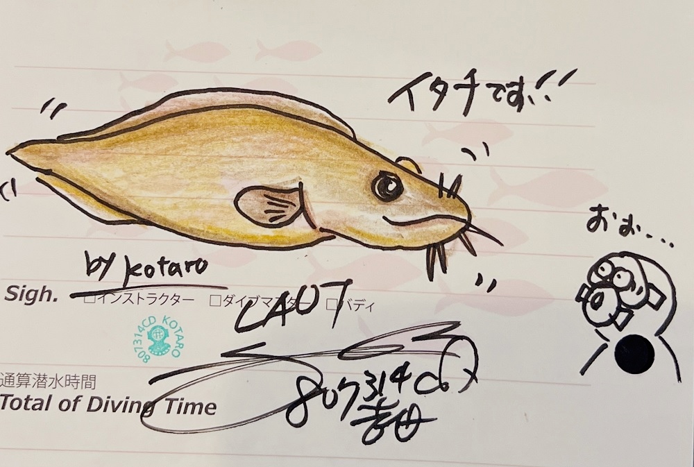 ログ付け風景　ダイビング
