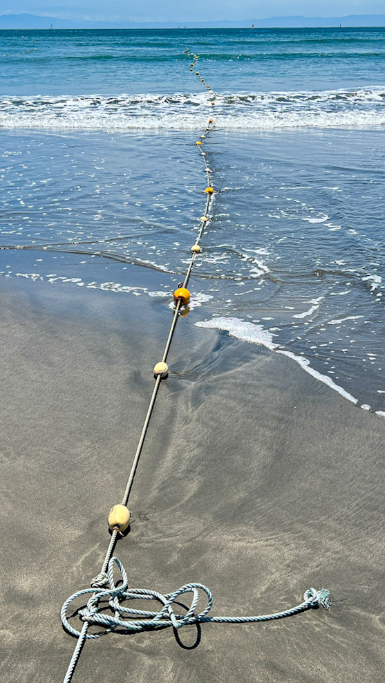 鎌倉 海の家 材木座 2026